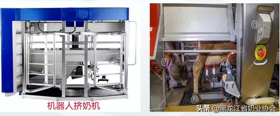 規(guī)?；膛龀Ｓ脭D奶機的分類