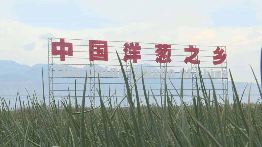 圖片關鍵詞 【鄉村振興】經久鄉大力發展糧菜輪作種植 助力農戶增收