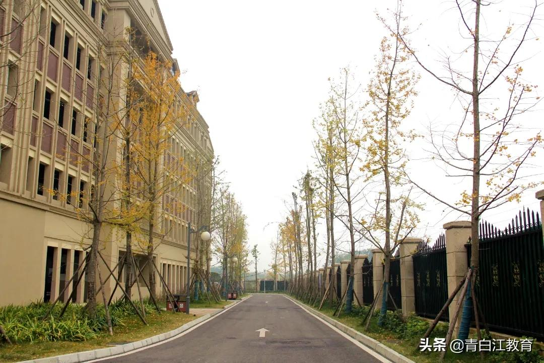 秋冬美图来袭① | 为你喜欢的校园美景投票吧