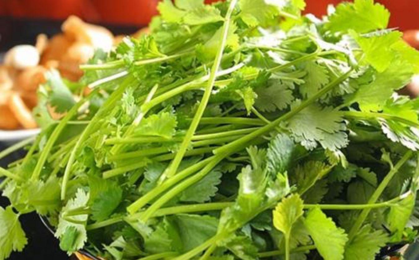 了解一下香菜有什么功效