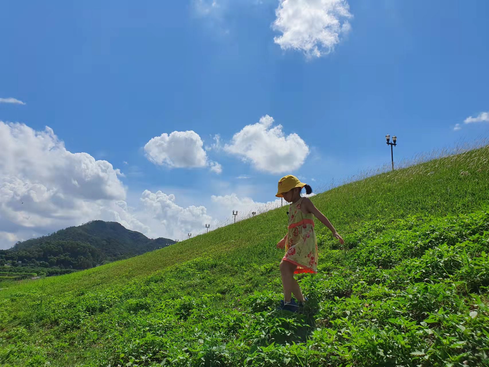 佛灵湖公园有什么游玩项目(不要错过好天气，约起到这里拍照、露营吧)