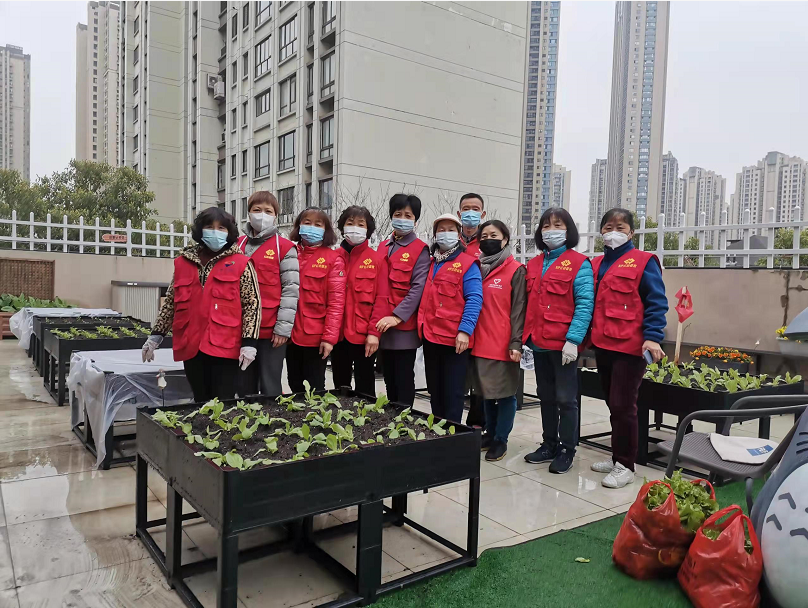 苏州园区胜浦街道星辰北社区种子计划正式启动