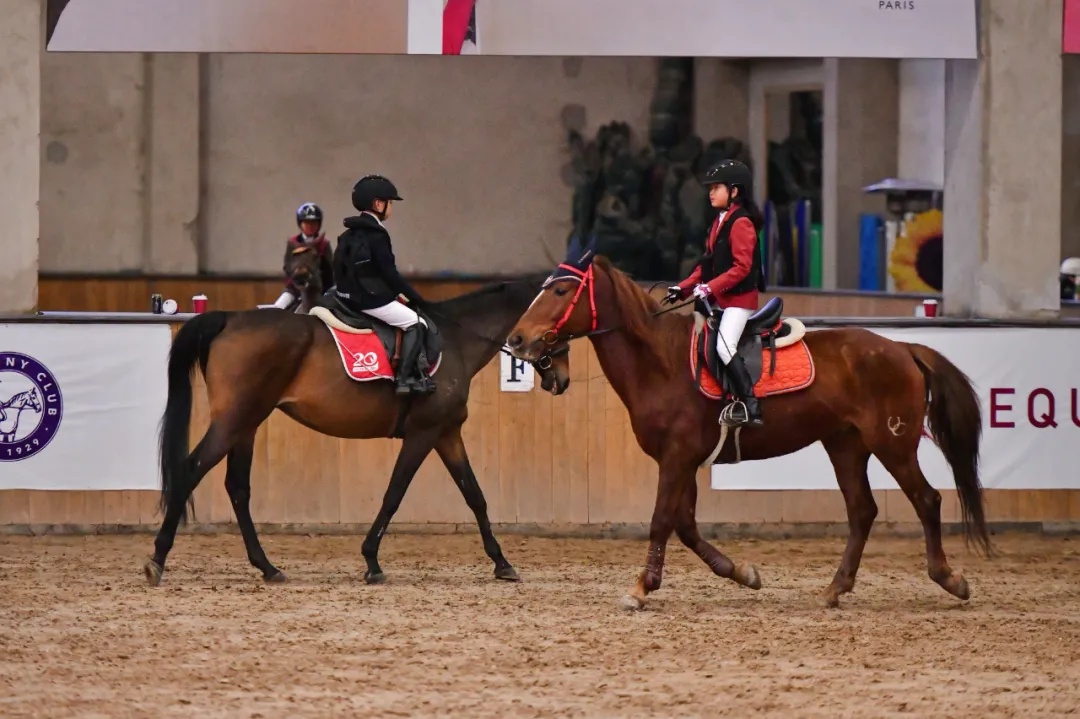 芒果賽馬世界杯（聚星馬糧快訊：2021超級馬術(shù)俱樂部聯(lián)賽（天星調(diào)良第9站）舉辦）