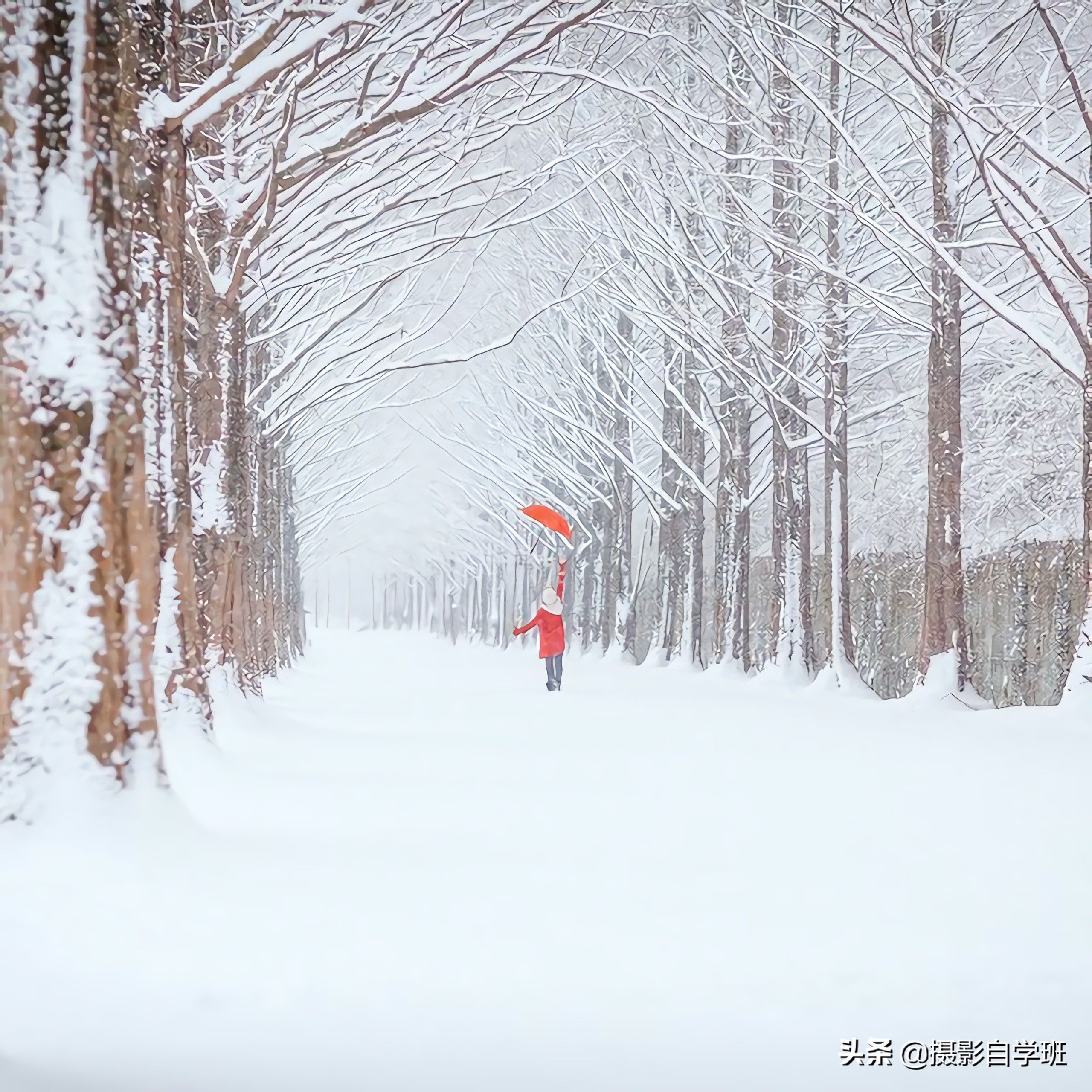 冬天拍照片相当美,学会这9个冬天摄影技巧,你也能拍出