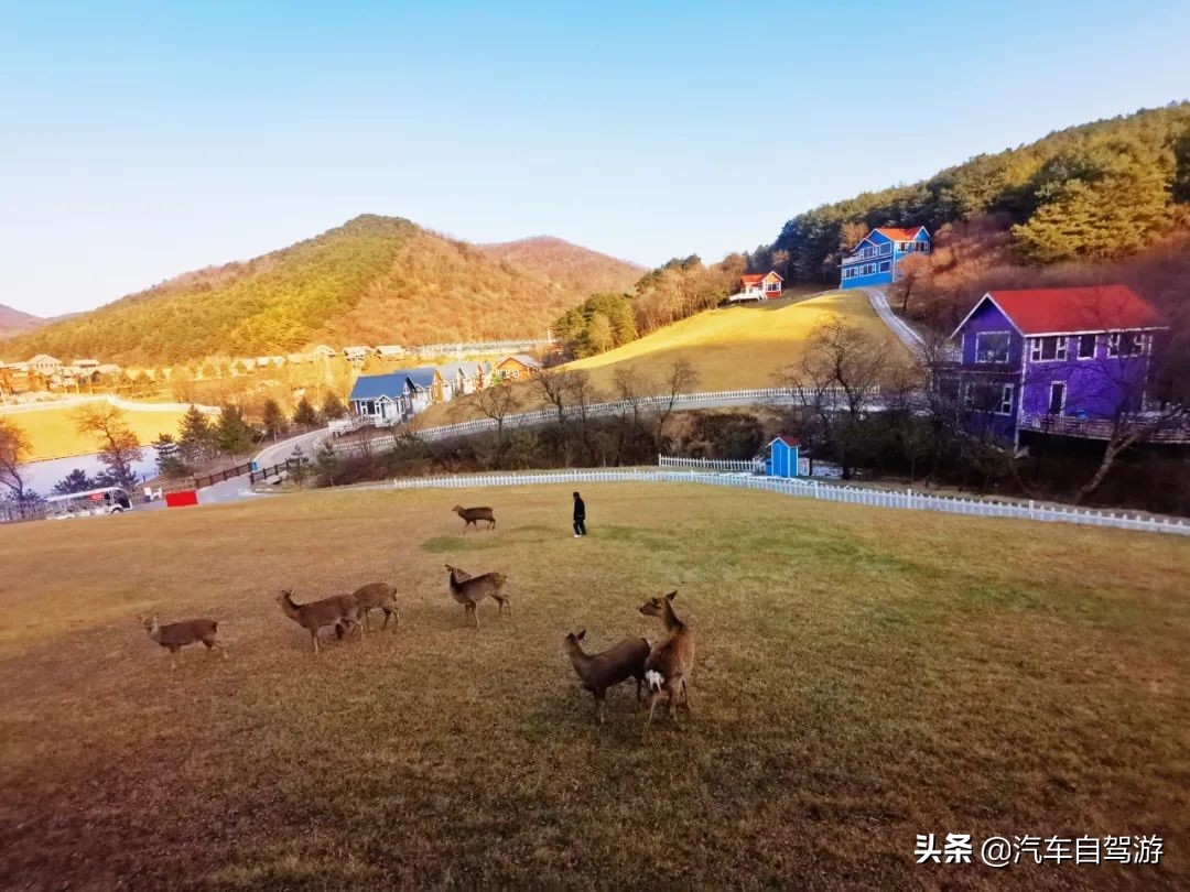 大唐鹿野苑，来自冬日里的一份思念（附自驾游行车线路图）