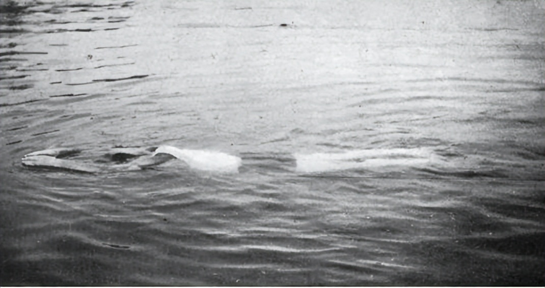 巴黎奥运会剔除哪些项目（荒唐的奥运会项目，因荒唐或残忍而消失的10个奥运会项目）-华海博客