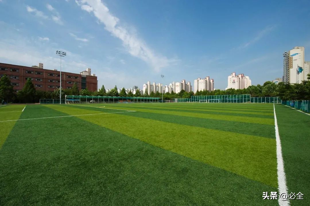 世界杯草皮是真草吗（世界杯足球场上的草坪有什么不一样？）