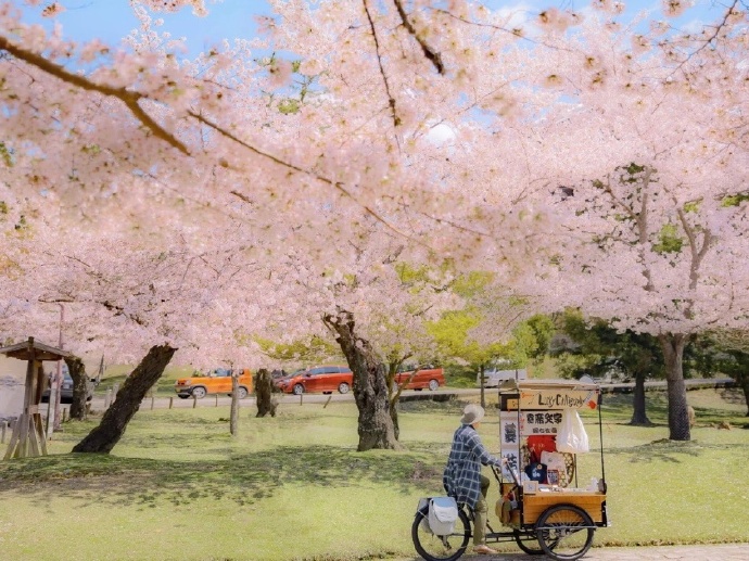 一日不见如隔三秋，思念如潮涌向你，爱在心底深处悄然生长。