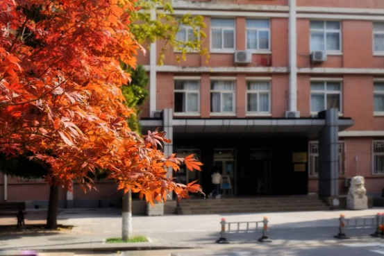 “语”你一起，共赴未来！北京语言大学：在这里，会五洲好友，看大千世界！