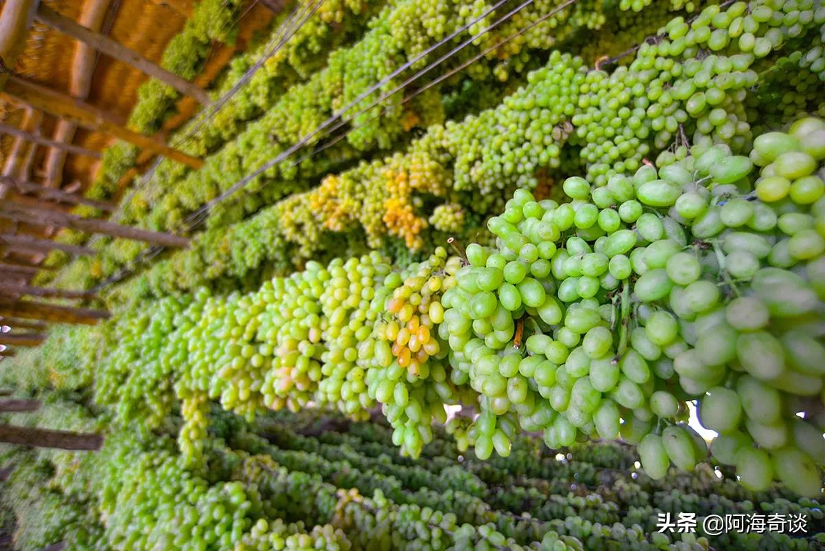 新疆的好酒丰富多彩,盘点新疆地区的四类特色名酒