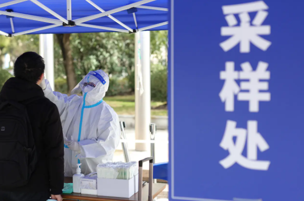 上海交通大学博士被处分，只因撸了流浪猫，校方表示是为学生好