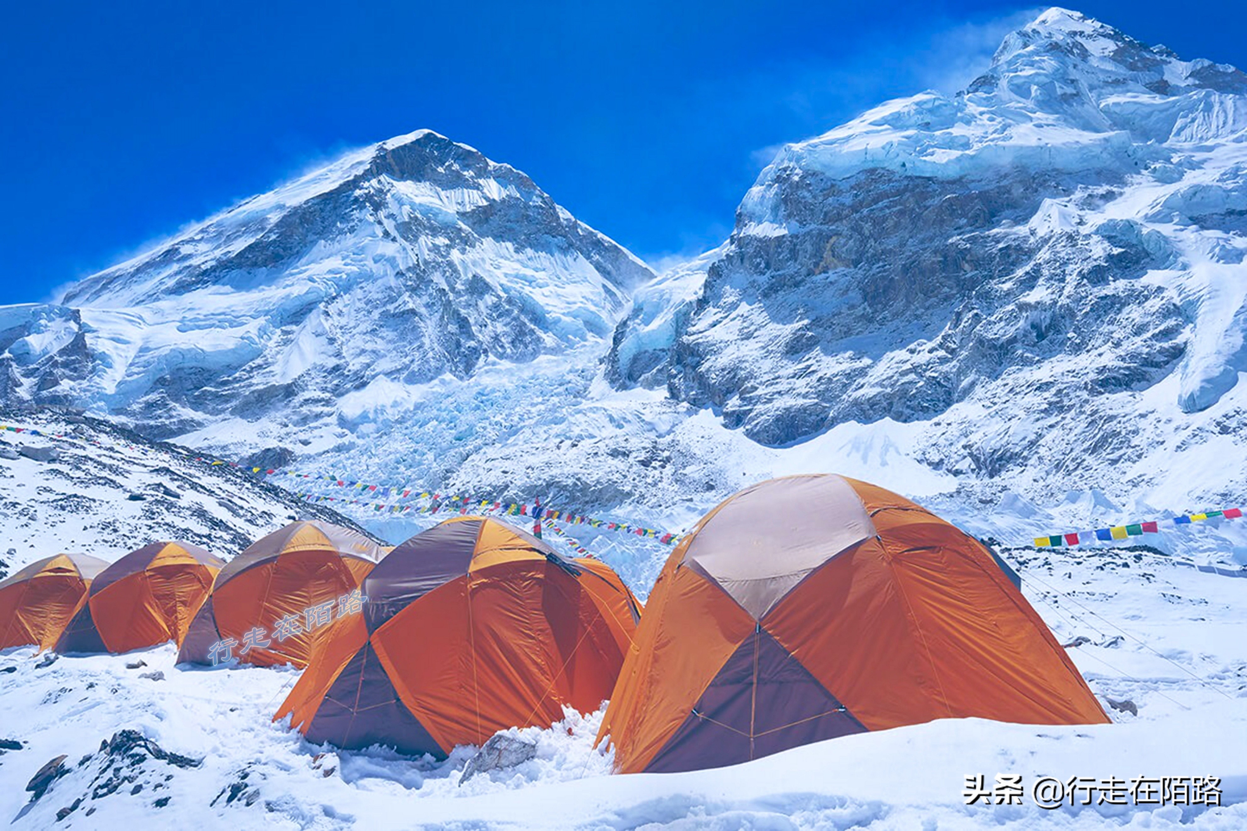 南迦帕尔巴特峰(大山之军—夏尔巴人：我们负责运送物资，你们负责活着下山)