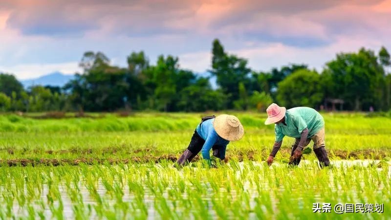 基本实现城镇化后仍有4亿人在农村，谁去谁留？不妨从这4点来探究