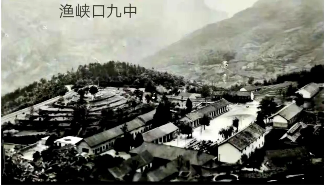 原创散文：就这样，我又梦一样地进入了九中