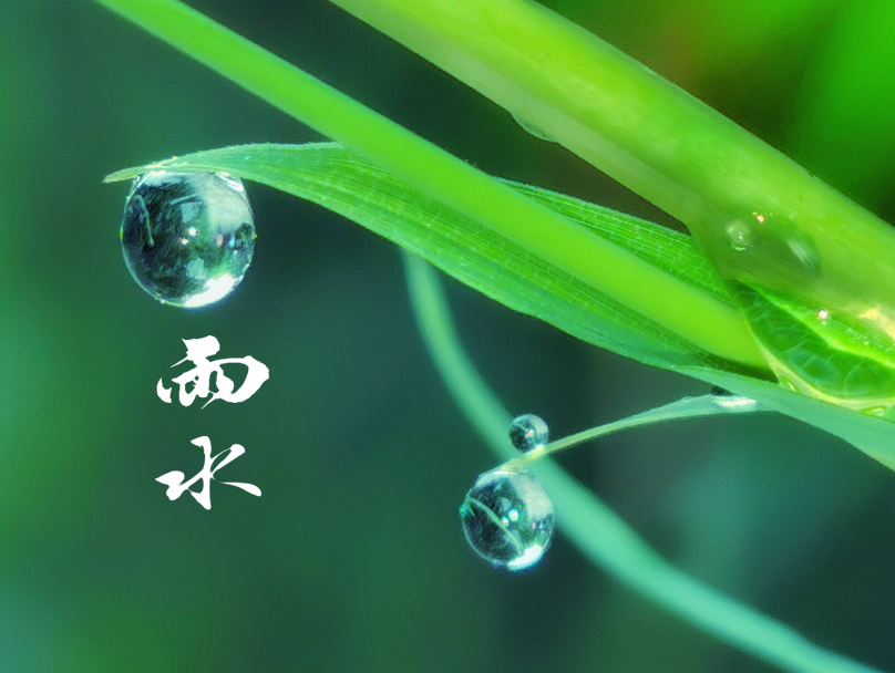 雨水 | 及时雨,窗外听,十首春雨的诗词,一朝春雨,润物无声
