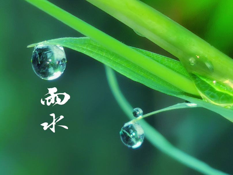 雨水 | 及时雨，窗外听，十首春雨的诗词，一朝春雨，润物无声