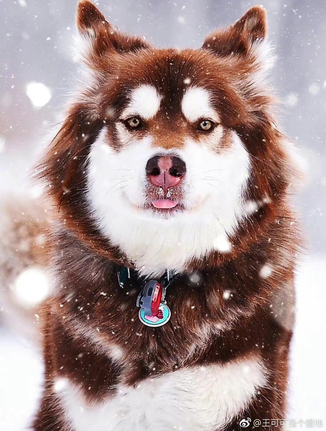 ��˼��һ����Ѱ����ʾѰ�Ұ�Ȯ���ɿɣ����˵�٩�˻�ò���һ����