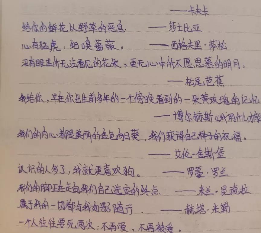 一些深入人心的名言名句—世界上最触动人心的不是语言，而是文字