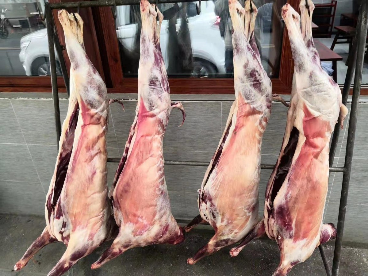 成都大哥执着羊肉20年，夏天亏本照常营业，110元一斤夜间排长队