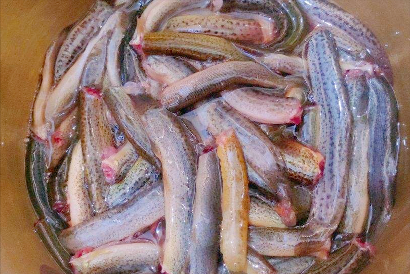最适合男人吃的肉类排行榜，鱼肉倒数第一，牛肉排第四，建议了解