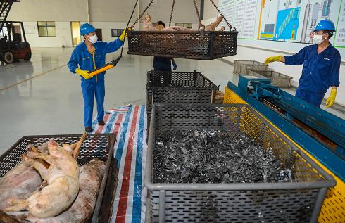 农业农村部发布文件，有补助也有罚款，哪些人领补助哪些人该罚？