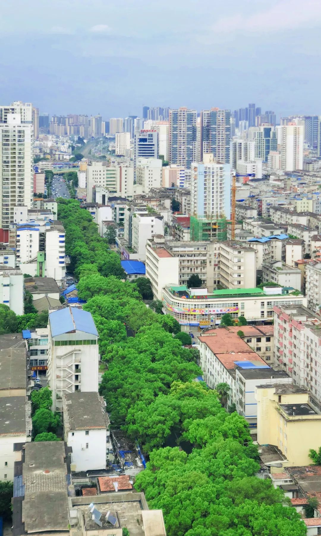 高考生被烤鱼专业录取?学院:系恶搞