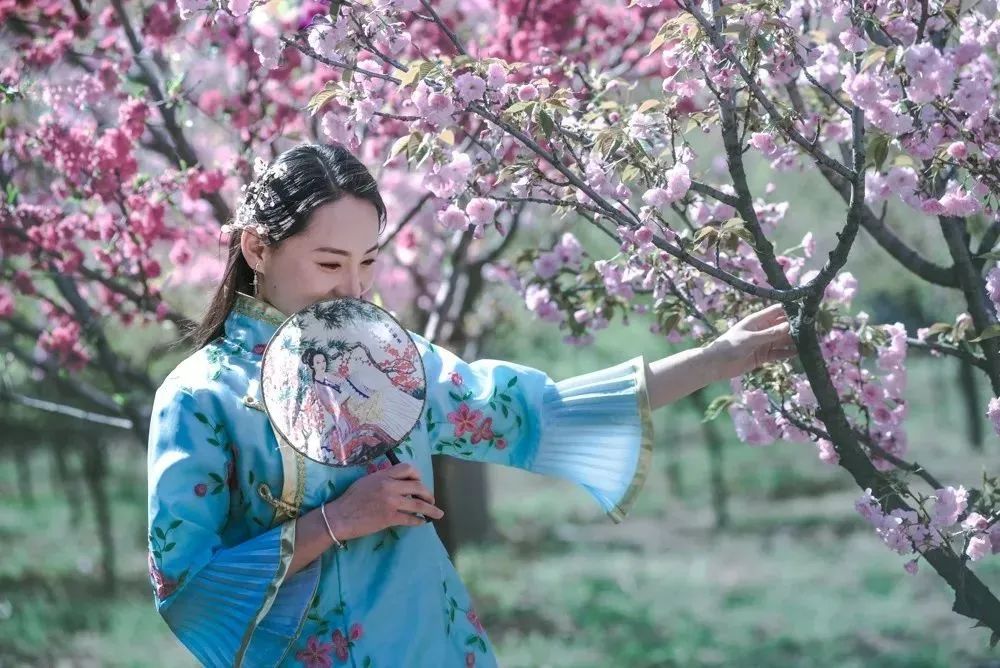 淄博旅游景点（淄博旅游景点上市公司名单）-第7张图片-昕阳网