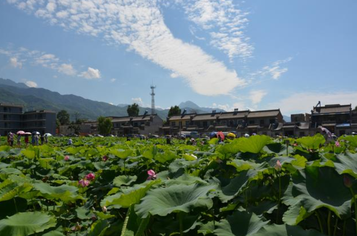 西安周边游 | 这八大美丽乡村太有魅力了，你去过几个？