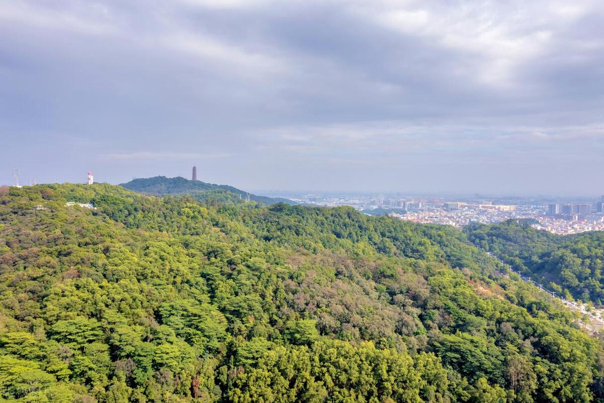 江门有什么历史景点广东江门旅游必去十大景点