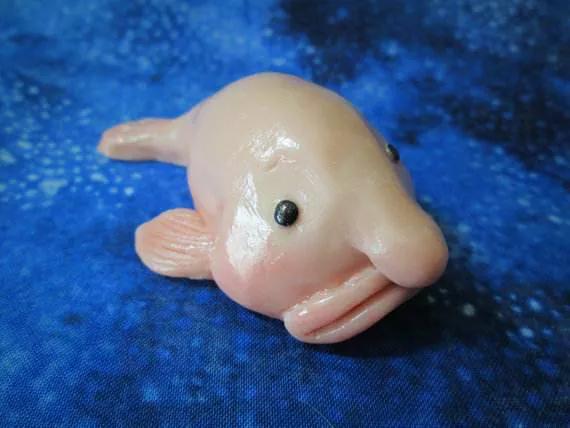 水滴魚能吃嗎,水滴魚能吃嗎給我找個視頻