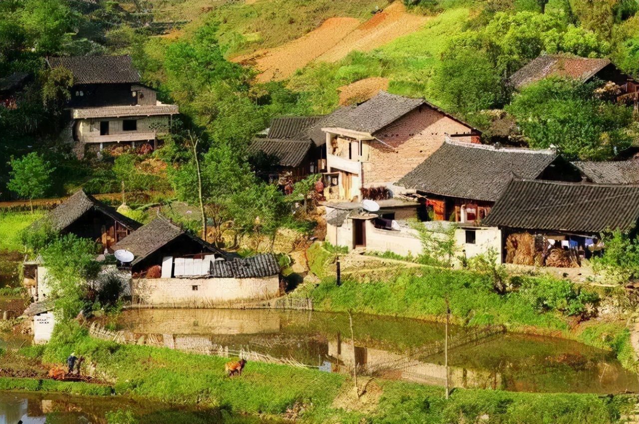 中科院专家去贵州农村调查“鬼剃头”，结果自己被一夜“鬼剃头”