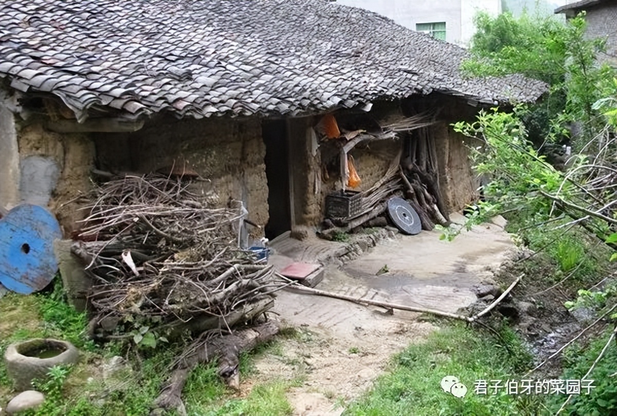 「七月流火」 高 考 作者：李战军