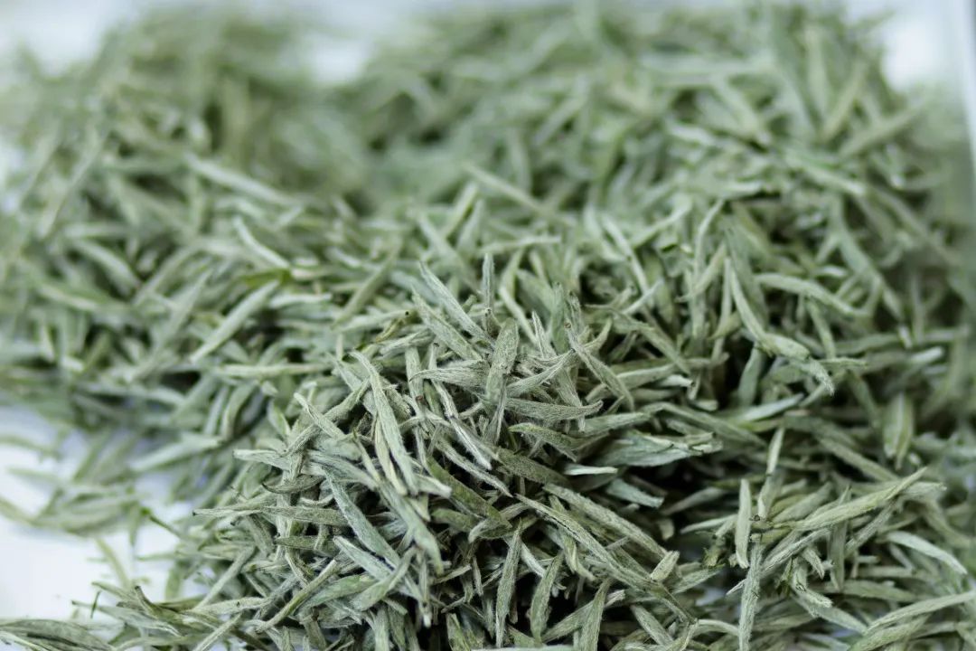 “敬國際茶日一杯好白茶”冠軍杯2022首屆白毫銀針斗茶賽正式啟動