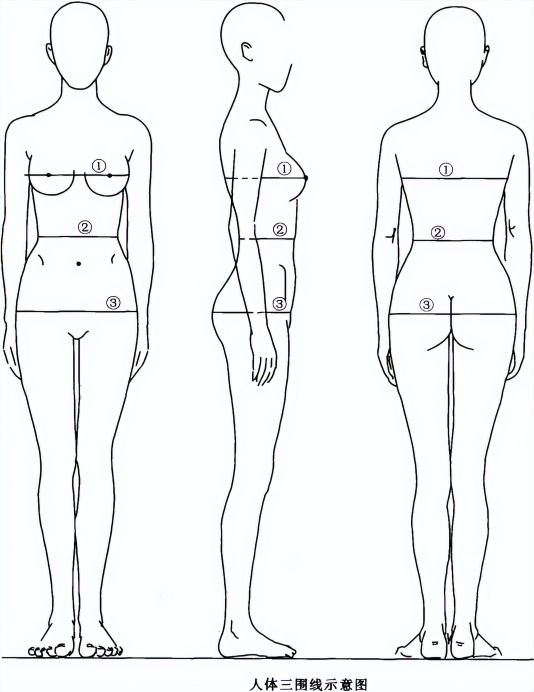 女性穿搭小贴士——如何根据自己体型穿衣？