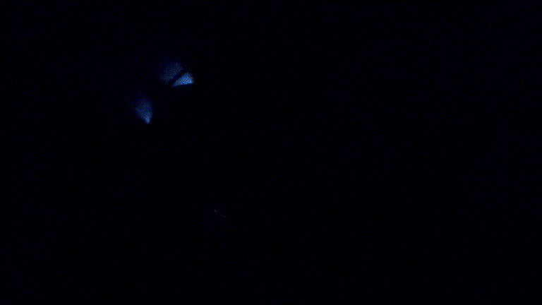 贱驴键鼠三件套：高颜值加高生产力一个都不少