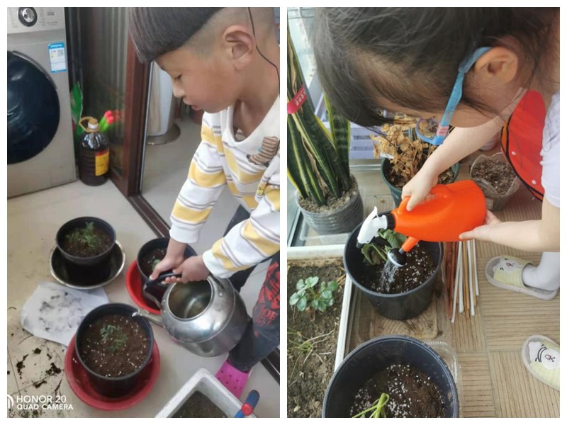 苏州园区胜浦街道星辰北社区种子计划正式启动