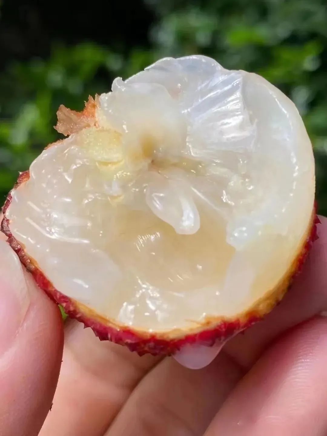 海南最后一片净土！这座无人打扰的海滨慢城，物价低到感人