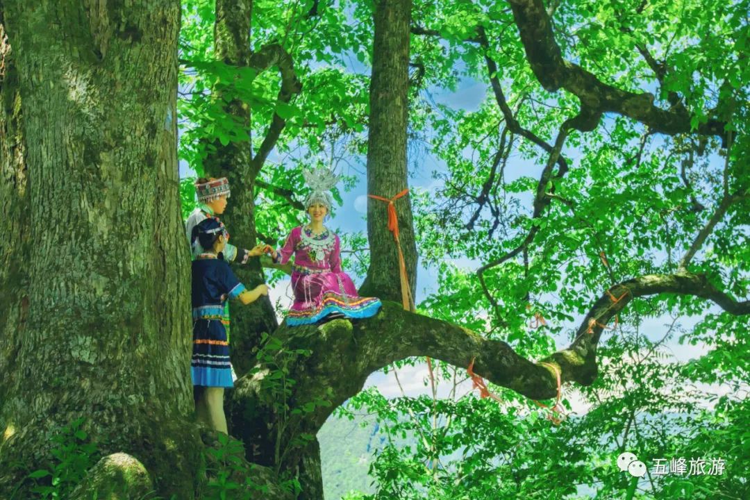 快乐不打烊！宜昌这些地方景美人少还免费！