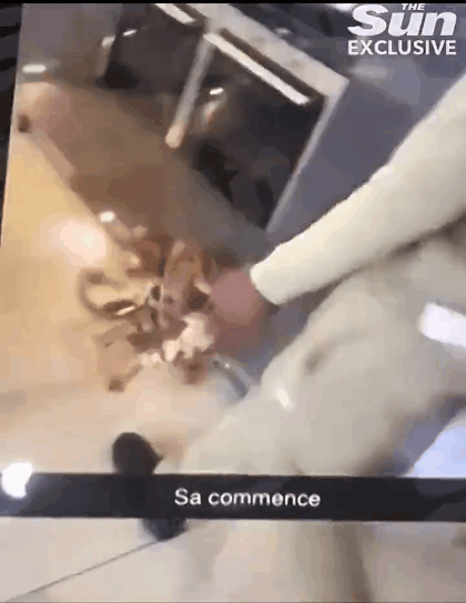 阿迪达斯决定终止和祖马的合作（重罚！宣布解约）-趣拿体育