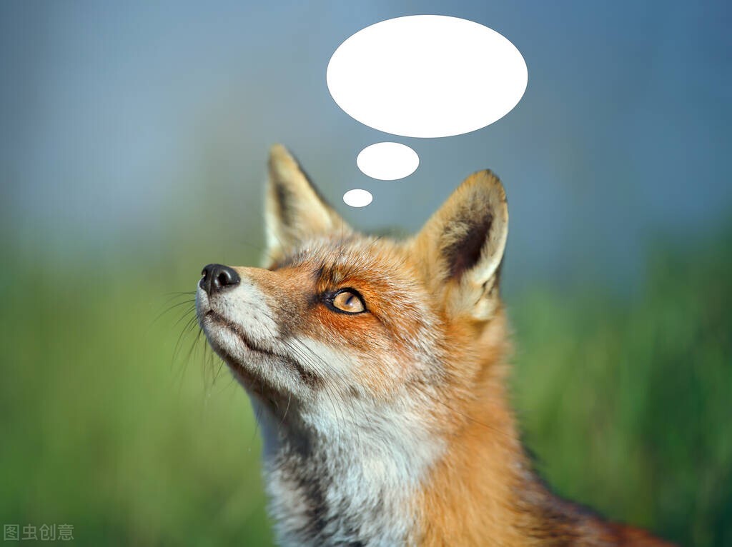 思想品德教学工作总结范文