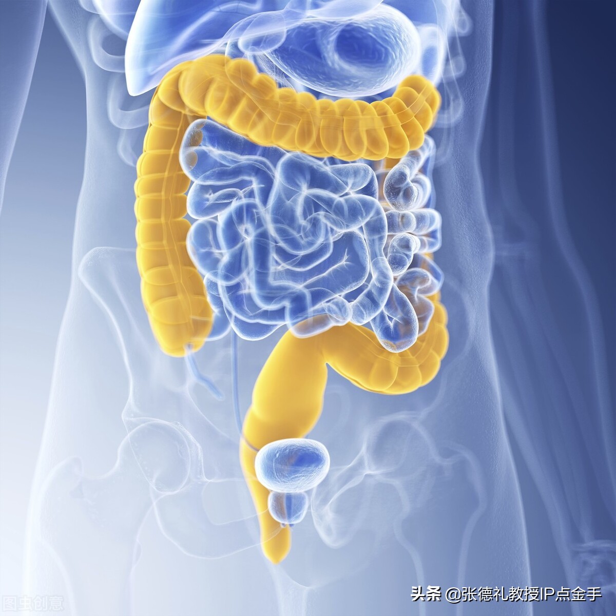 诸平：科学家绘制了单细胞分辨率下完整的人肠道细胞图谱（转载）