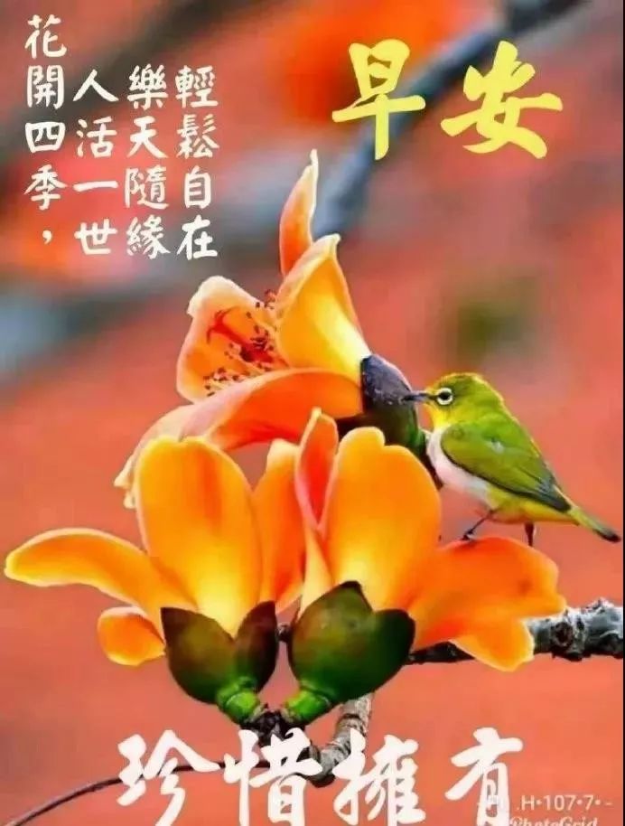 最新創意早上好問候圖片 溫馨早安祝福圖片帶字 美好的一天 平安順心