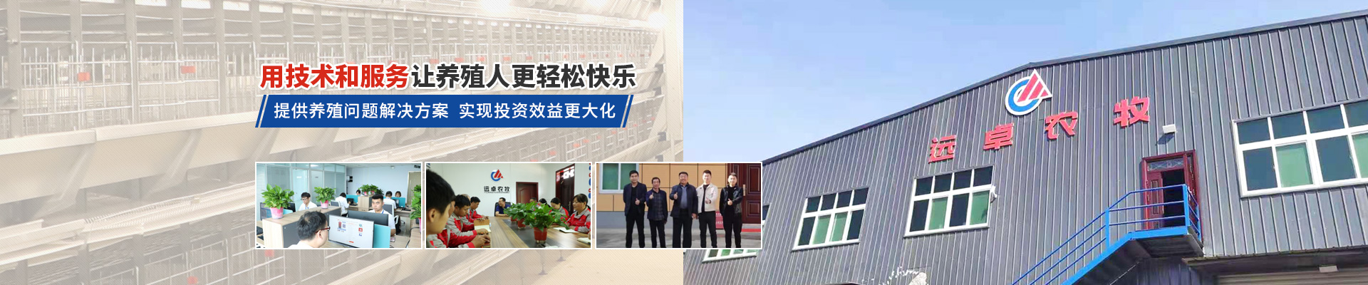 2021年中國蛋雞產(chǎn)業(yè)現(xiàn)狀及發(fā)展趨勢分析，祖代向全國供種富富有余