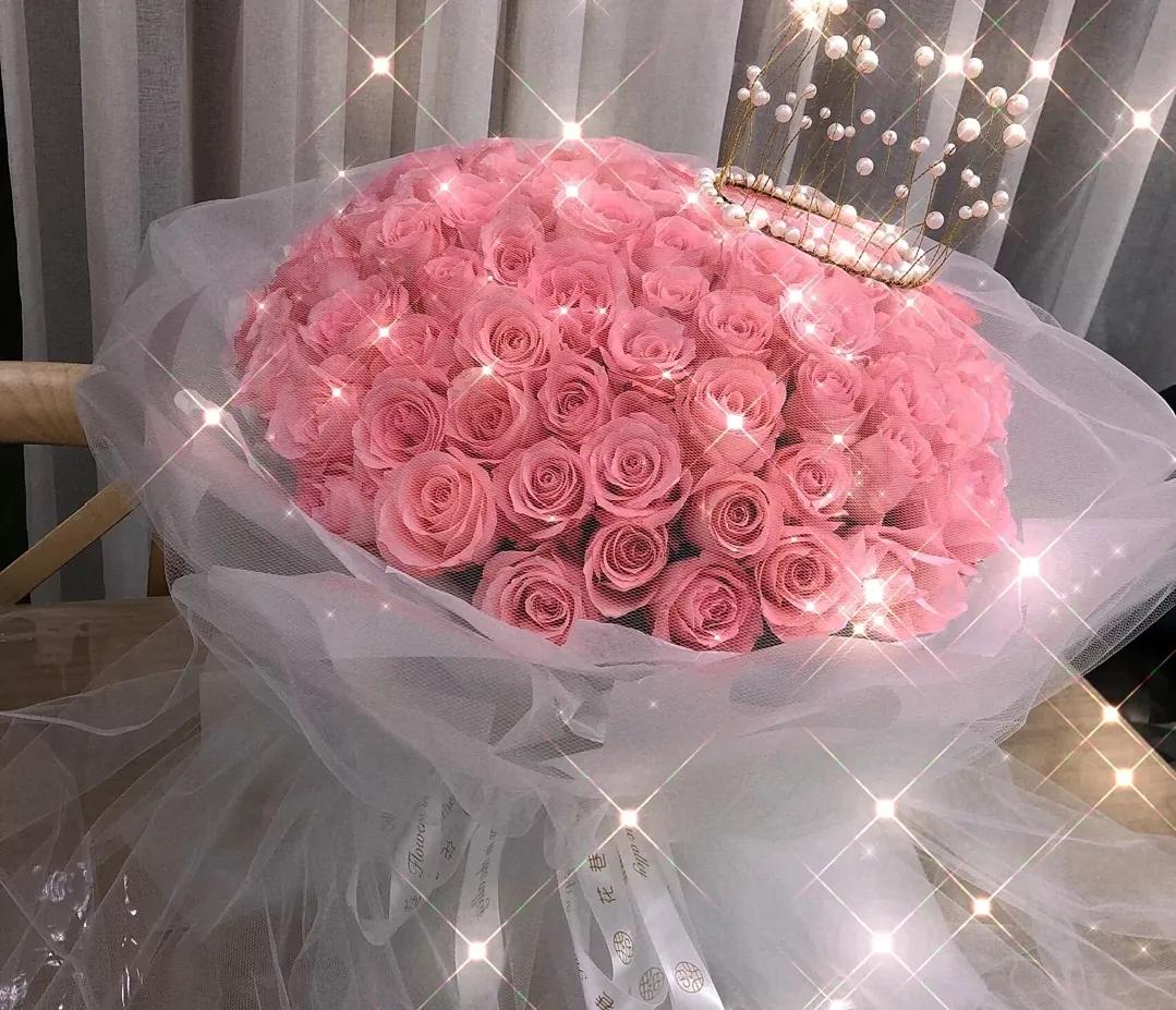 鲜花美图:娇艳欲滴的玫瑰花,美的令人窒息