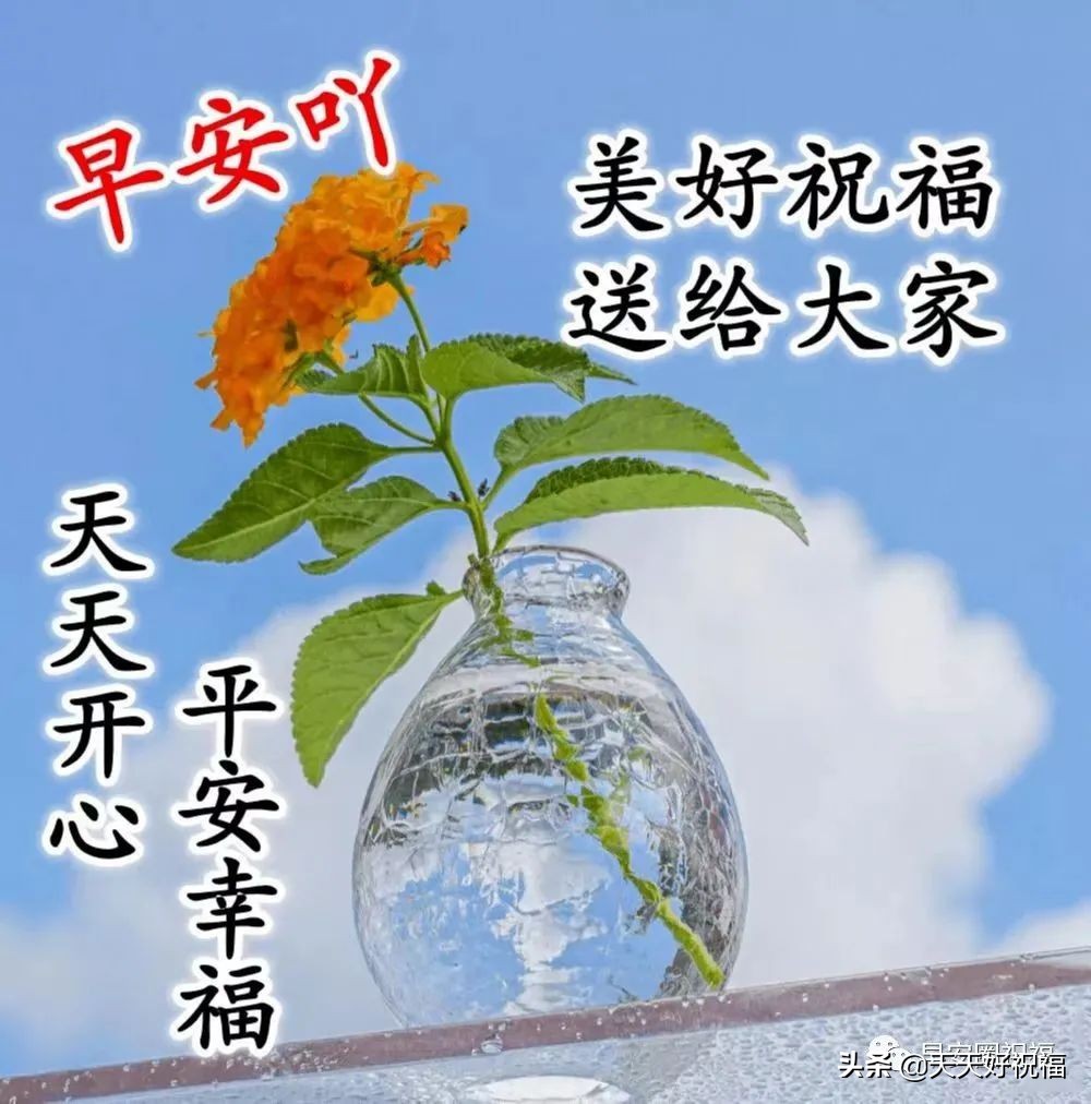 4月15日早安祝福,珍惜缘份无遗憾,感恩美好的相遇,祝福大家都平安