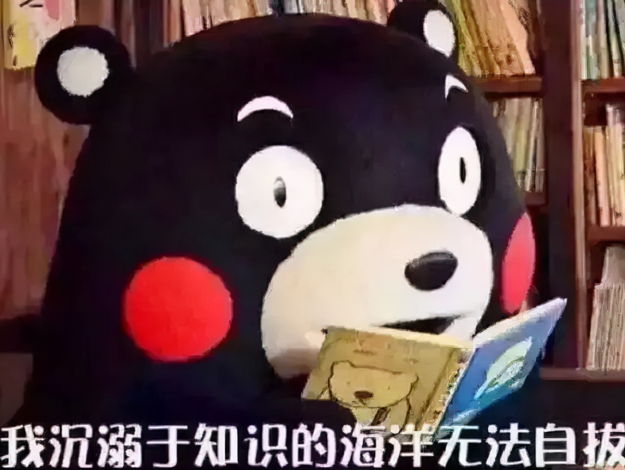 白嫖知识！效果翻倍的公交站亭广告投放技巧