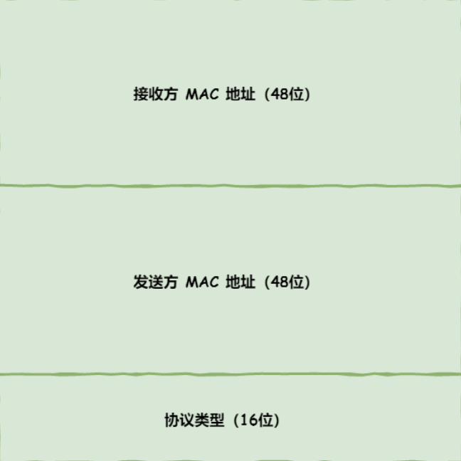 输入网址到回显页面，经历了哪些过程