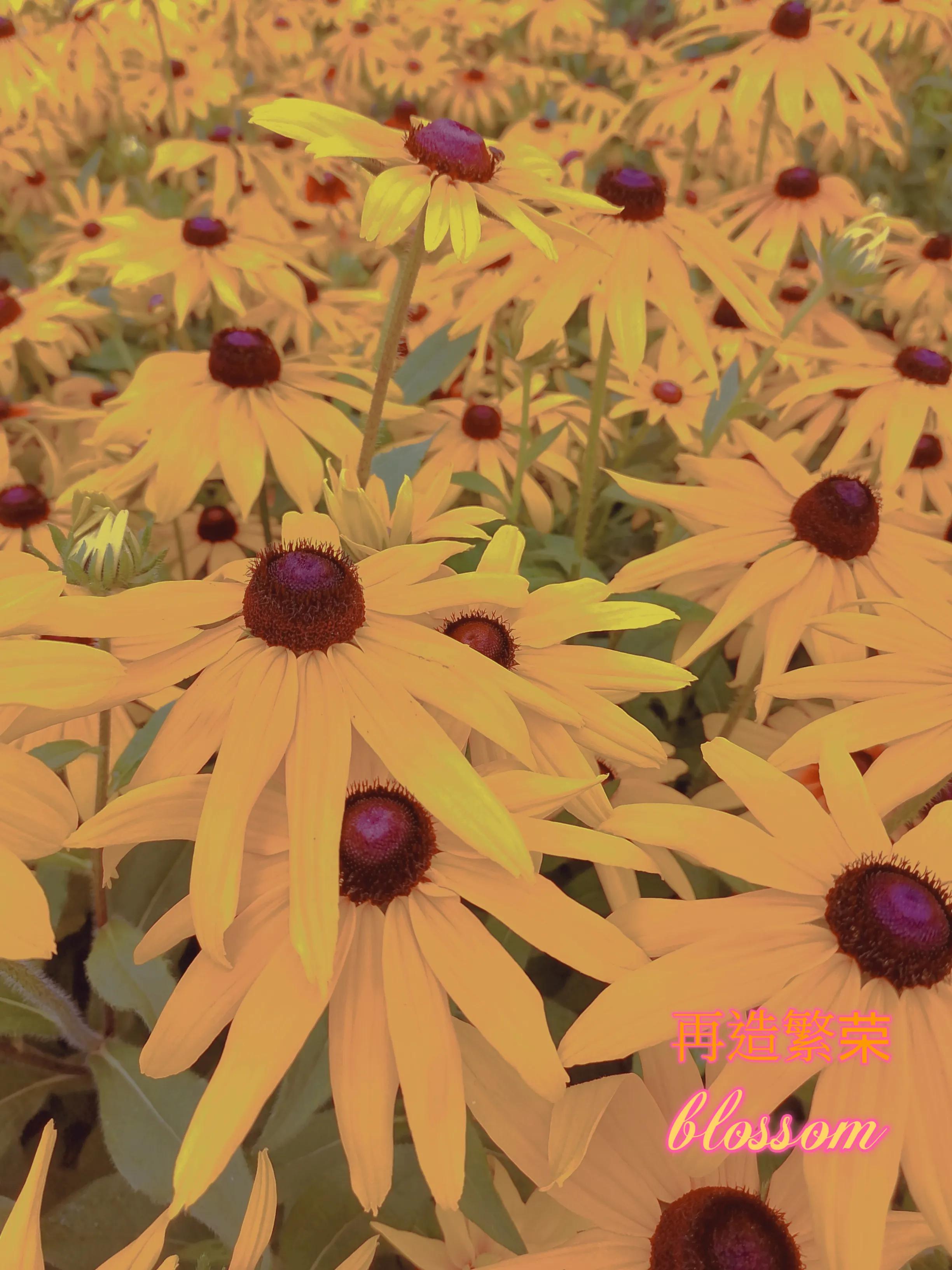 一生何求？再造繁荣