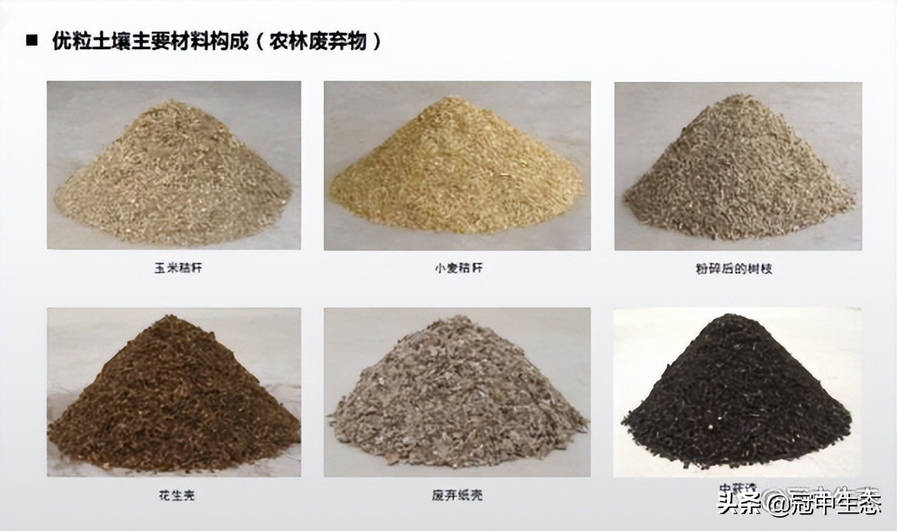 冠中生态｜揭开“优粒”土壤的神秘面纱