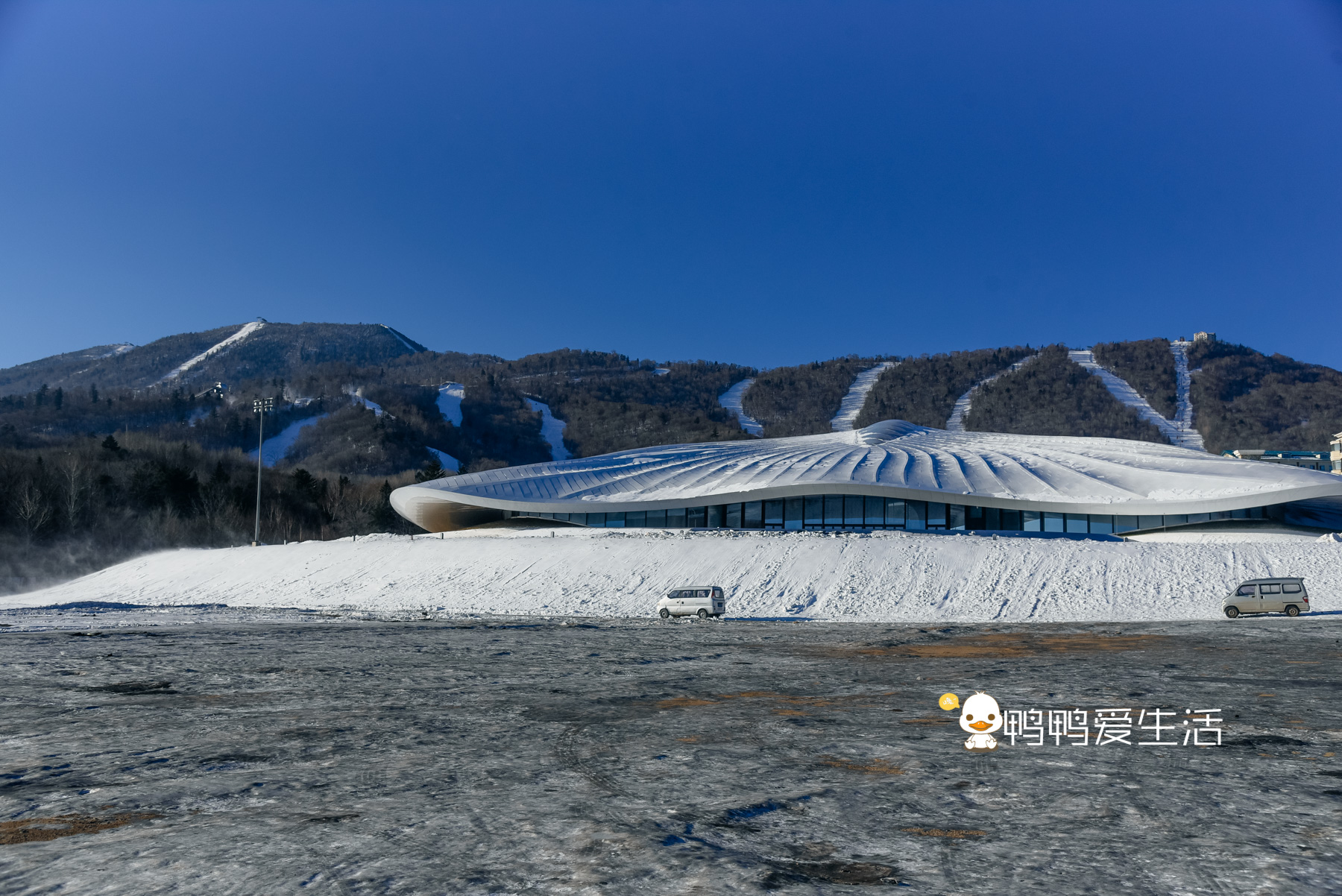 哈尔滨能滑雪吗(冬奥促进冰雪旅游，来哈尔滨看冰雕玩滑雪，过瘾)